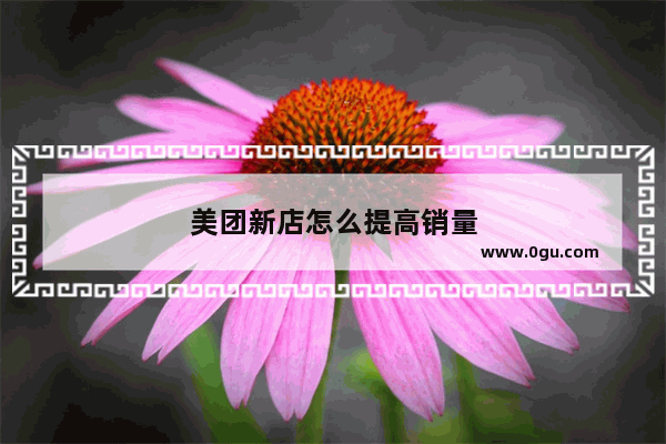 美团新店怎么提高销量