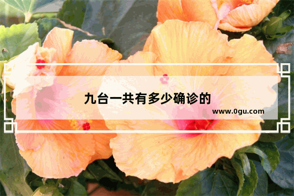 九台一共有多少确诊的