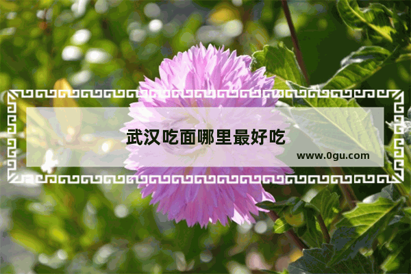 武汉吃面哪里最好吃