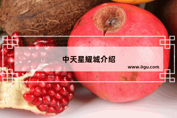 中天星耀城介绍