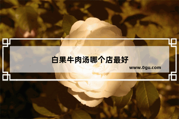 白果牛肉汤哪个店最好