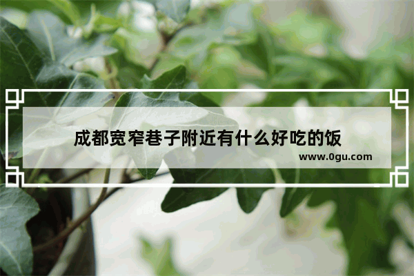 成都宽窄巷子附近有什么好吃的饭