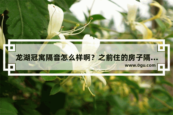 龙湖冠寓隔音怎么样啊？之前住的房子隔音真的超差的 真是怕了