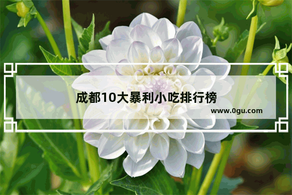 成都10大暴利小吃排行榜
