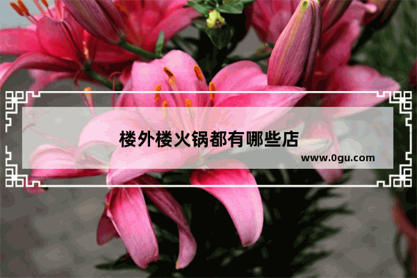 楼外楼火锅都有哪些店