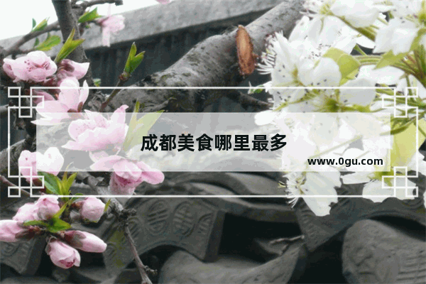成都美食哪里最多