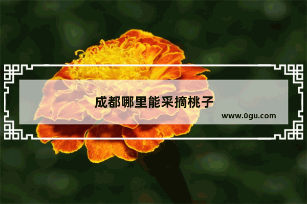 成都哪里能采摘桃子
