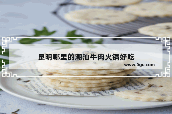 昆明哪里的潮汕牛肉火锅好吃