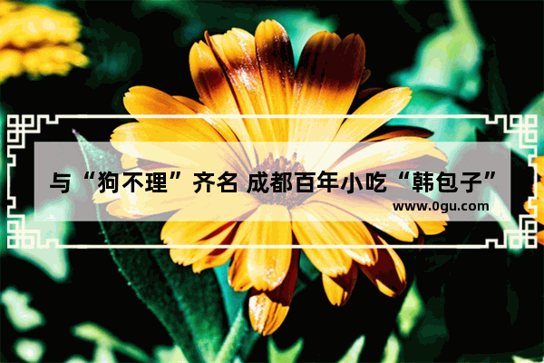 与“狗不理”齐名 成都百年小吃“韩包子”为何却走向另一极端