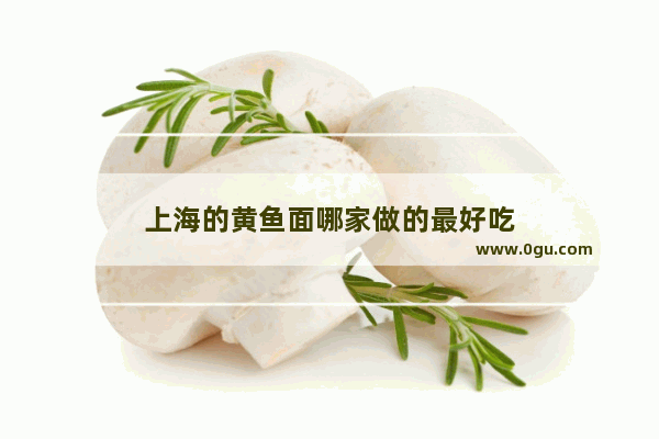 上海的黄鱼面哪家做的最好吃