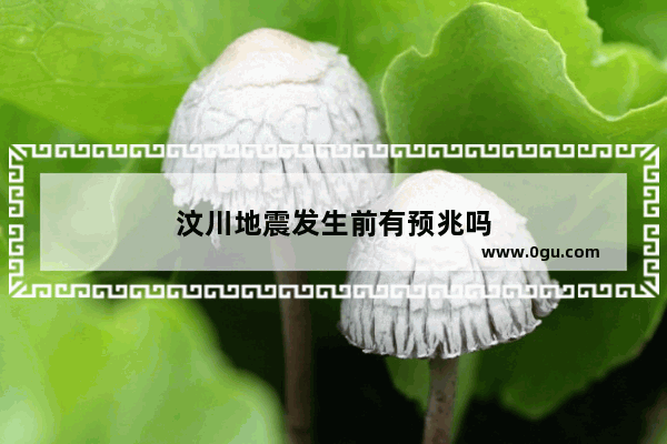 汶川地震发生前有预兆吗
