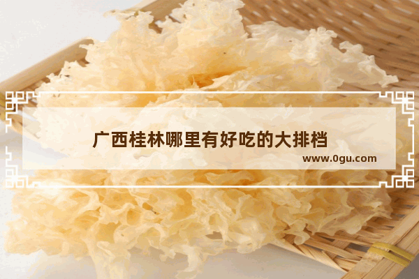 广西桂林哪里有好吃的大排档