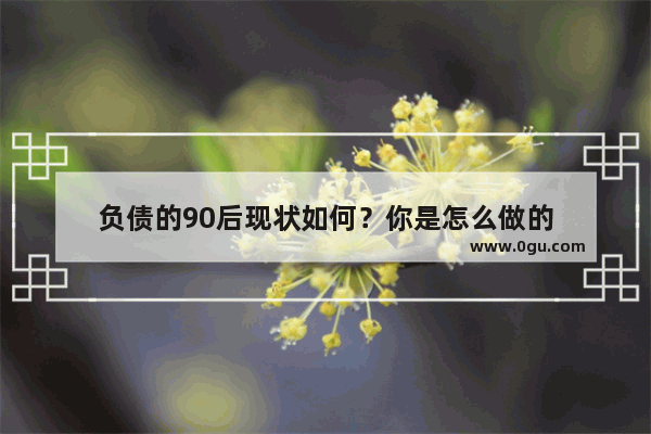 负债的90后现状如何？你是怎么做的