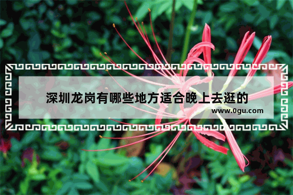 深圳龙岗有哪些地方适合晚上去逛的
