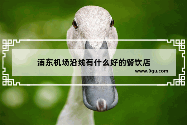 浦东机场沿线有什么好的餐饮店