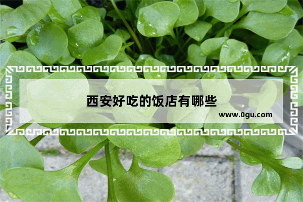 西安好吃的饭店有哪些