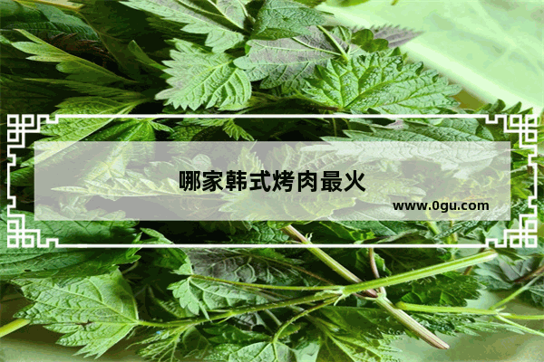哪家韩式烤肉最火