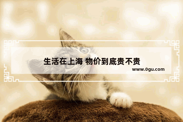 生活在上海 物价到底贵不贵