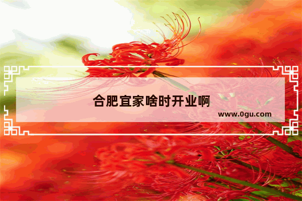 合肥宜家啥时开业啊