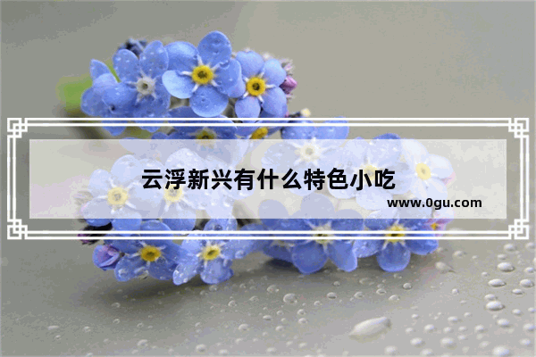 云浮新兴有什么特色小吃