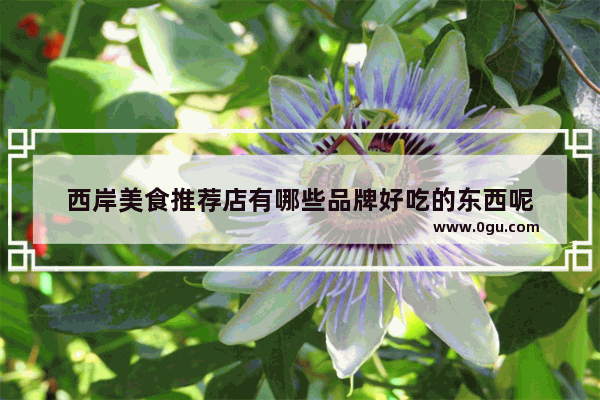 西岸美食推荐店有哪些品牌好吃的东西呢