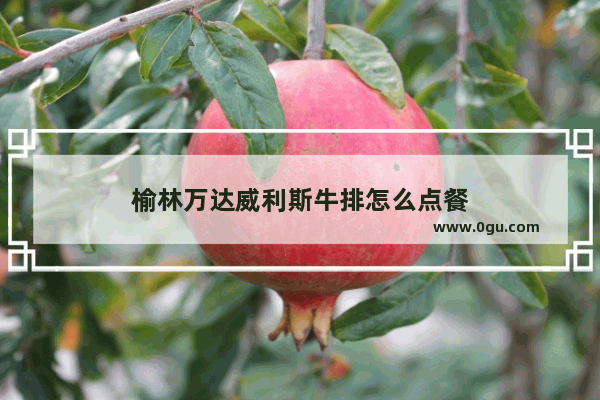 榆林万达威利斯牛排怎么点餐