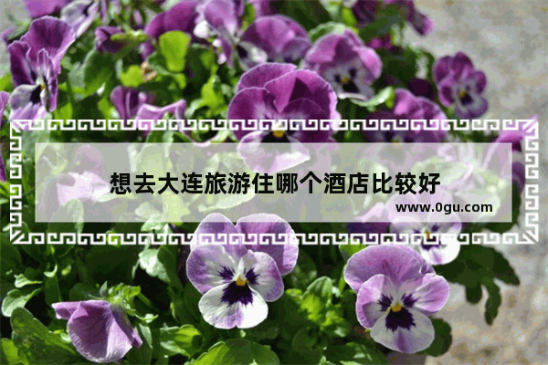 想去大连旅游住哪个酒店比较好
