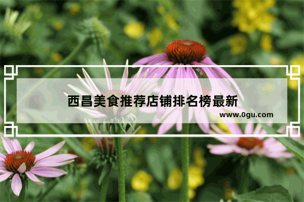 西昌美食推荐店铺排名榜最新