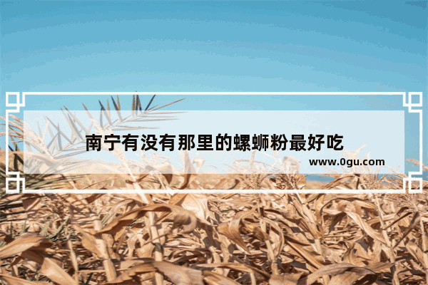 南宁有没有那里的螺蛳粉最好吃