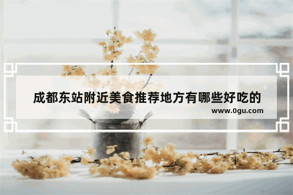 成都东站附近美食推荐地方有哪些好吃的