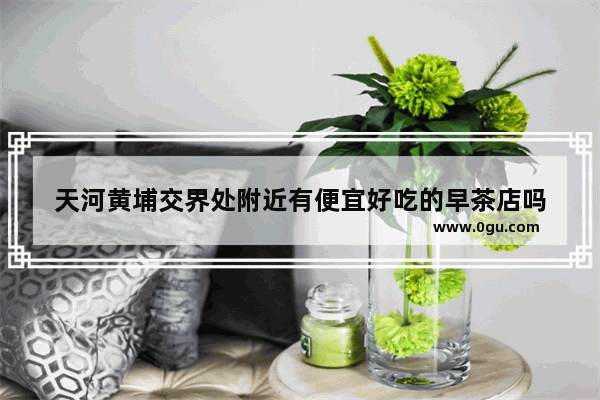 天河黄埔交界处附近有便宜好吃的早茶店吗