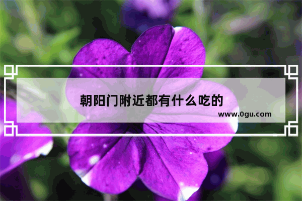 朝阳门附近都有什么吃的