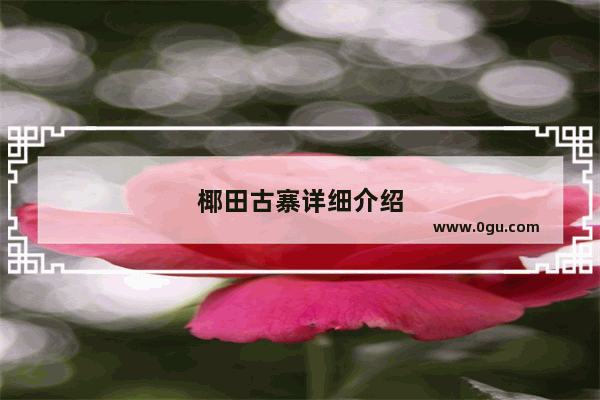 椰田古寨详细介绍