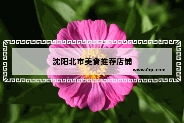 沈阳北市美食推荐店铺