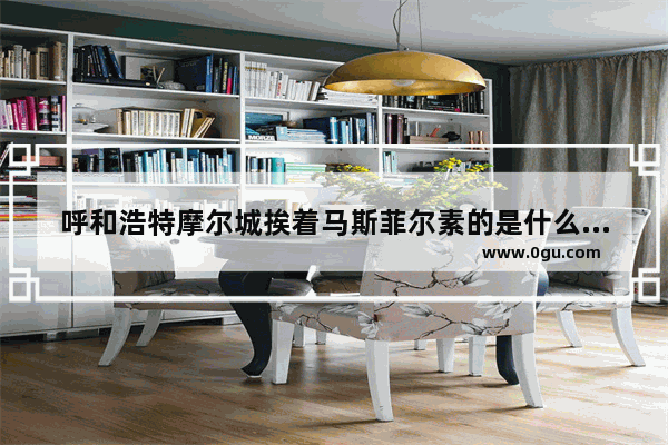 呼和浩特摩尔城挨着马斯菲尔素的是什么品牌