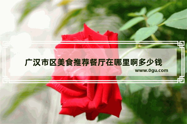 广汉市区美食推荐餐厅在哪里啊多少钱