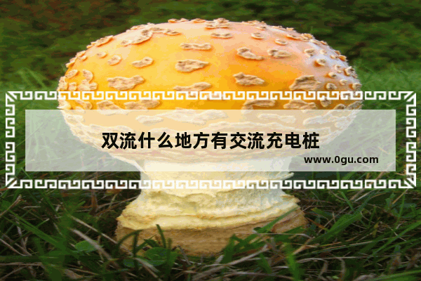 双流什么地方有交流充电桩