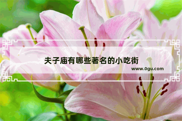夫子庙有哪些著名的小吃街