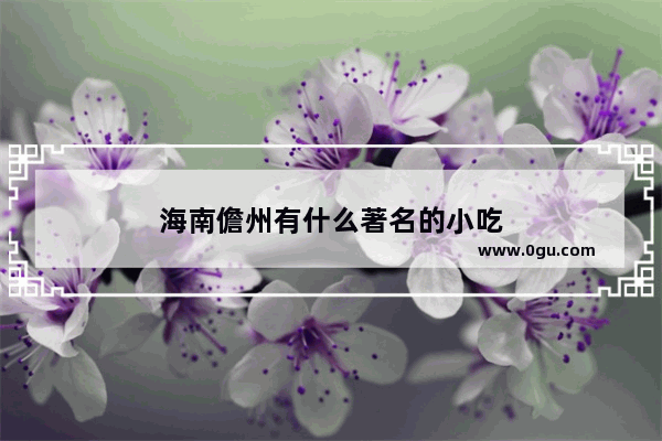 海南儋州有什么著名的小吃