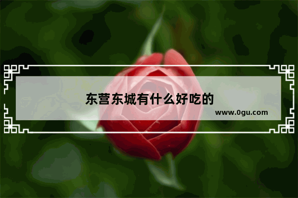 东营东城有什么好吃的