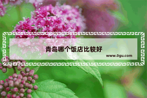 青岛哪个饭店比较好