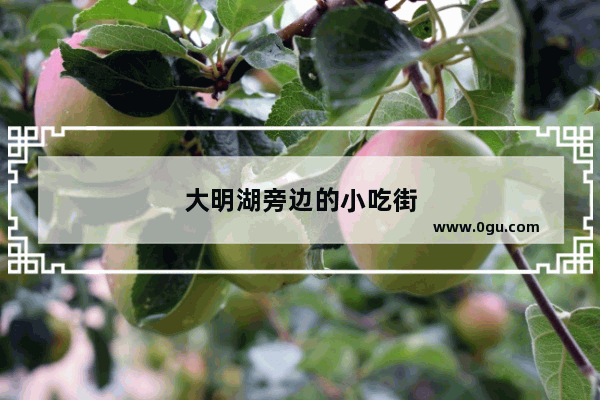 大明湖旁边的小吃街