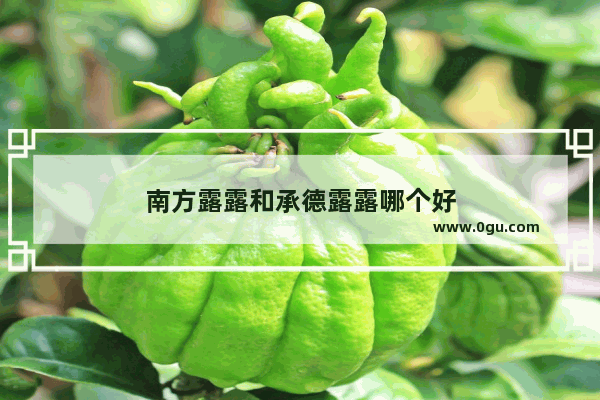 南方露露和承德露露哪个好