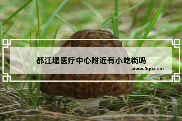 都江堰医疗中心附近有小吃街吗