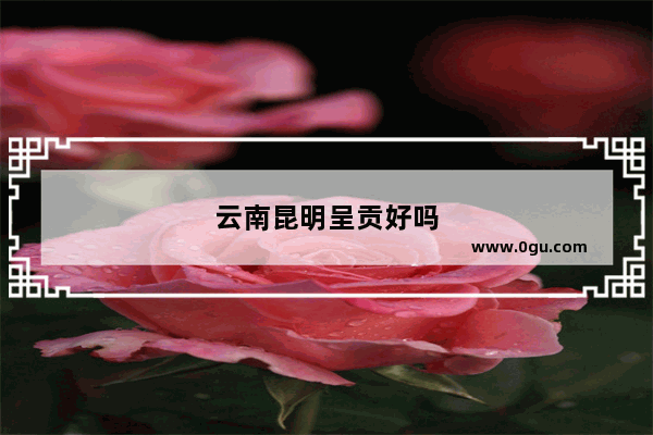 云南昆明呈贡好吗