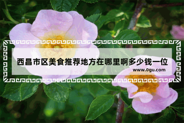 西昌市区美食推荐地方在哪里啊多少钱一位