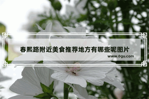 春熙路附近美食推荐地方有哪些呢图片