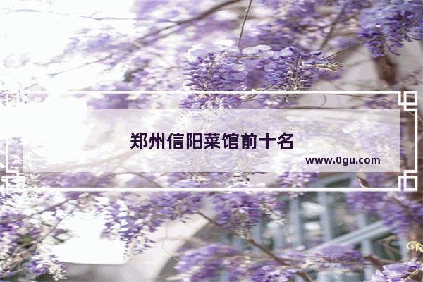 郑州信阳菜馆前十名