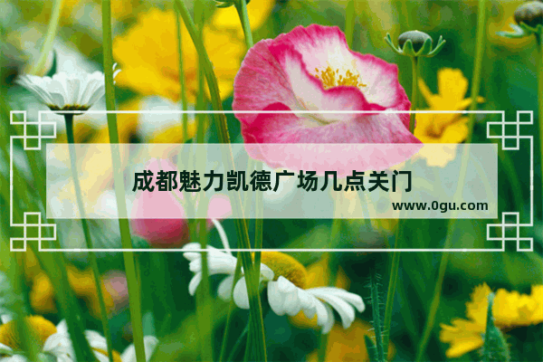成都魅力凯德广场几点关门