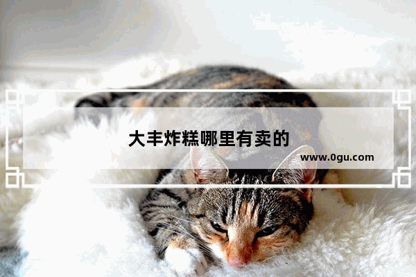 大丰炸糕哪里有卖的